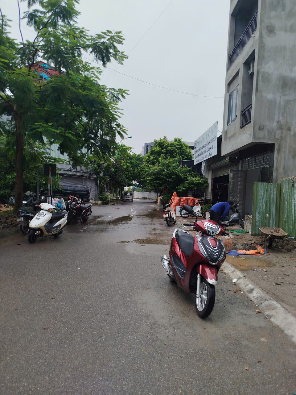 ✨ BÁN ĐẤT TÁI ĐỊNH CƯ TRÂU QUỲ – GIA LÂM ✨ LH 0985865658