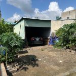  100m2 - 1