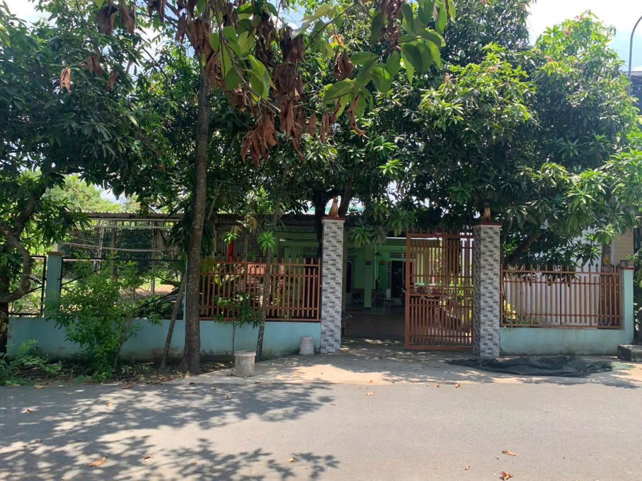 Cần bán đất Mặt tiền đường nhựa tại xã Tân Thông Hội, Củ Chi, TP HCM