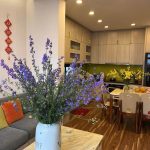  60m2 - 3