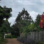  228m2 - 1
