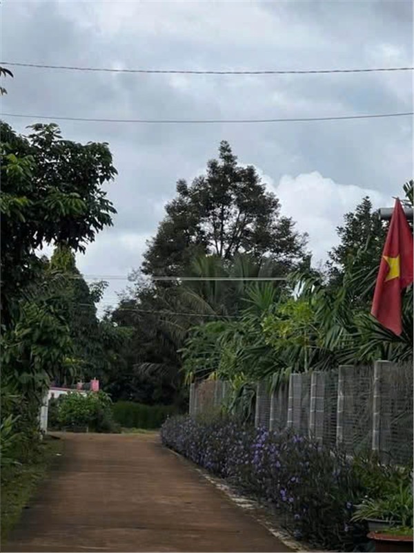 ĐẤT ĐẸP – GIÁ ĐẦU TƯ - CHÍNH CHỦ CẦN BÁN LÔ ĐẤT TẠI Hoà Thắng, Buôn Ma Thuột, Đắk Lắk