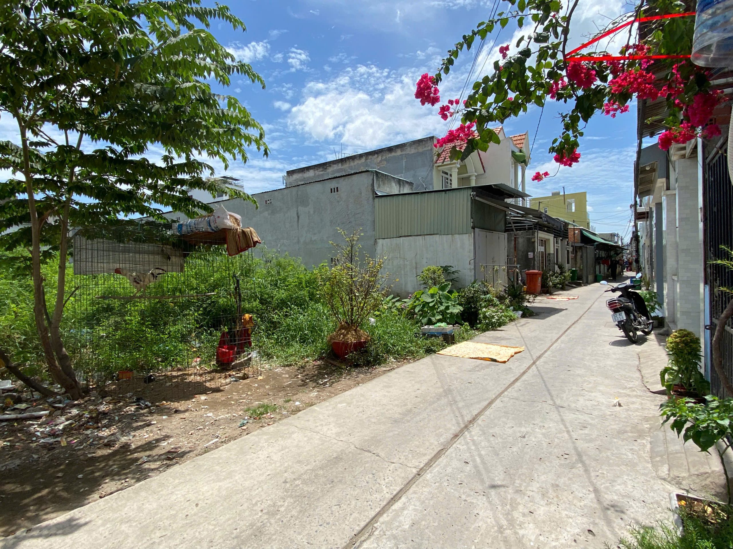 GIÁ TỐT: BÁN ĐẤT DT: 280M2 ( 8x35m) THỔ CƯ 100%, Đ.BỜ XE LAM, XÃ TÂN KIÊN, BÌNH CHÁNH, HCM