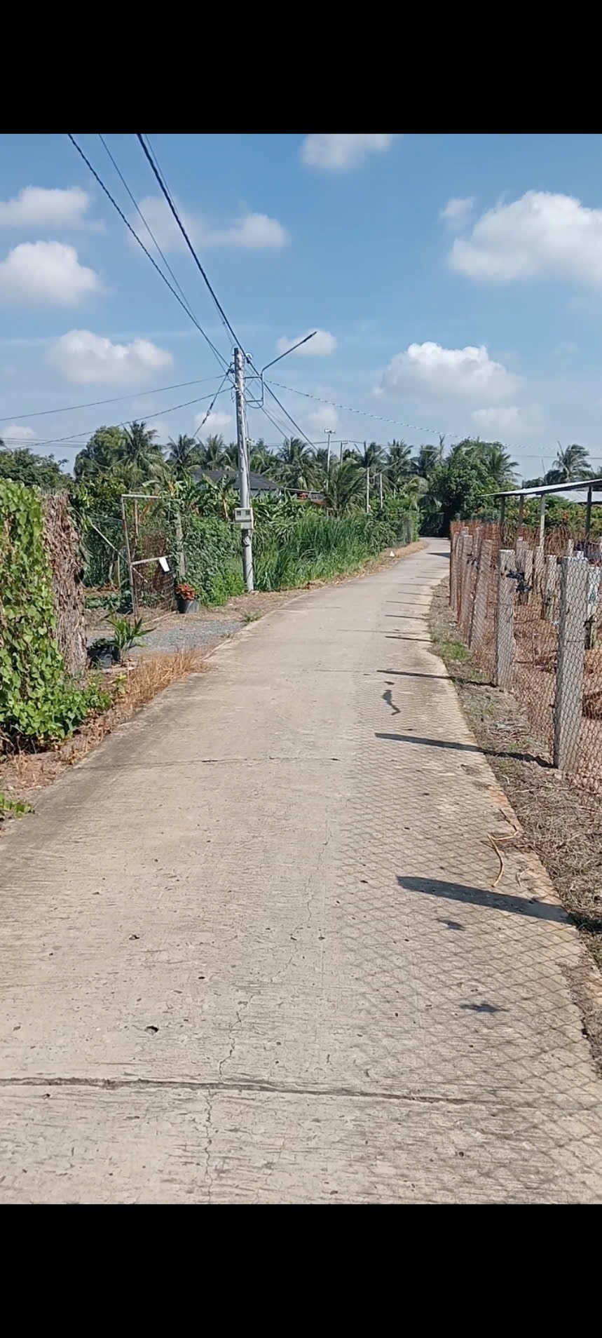 ĐẤT ĐẸP – GIÁ TỐT – CHÍNH CHỦ BÁN Tại Ấp Bình Thọ 1, Bình Phục Nhứt, Chợ Gạo, Tiền Giang