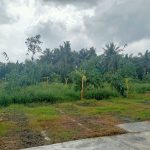  3200m2 - 4