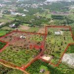  26000m2 - 5