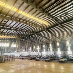  5500m2 - 5