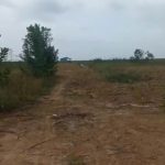  80000m2 - 1