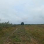  80000m2 - 3