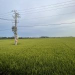  1049m2 - 3