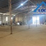  1100m2 - 5