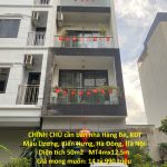 50m2 - 1