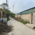  600m2 - 5
