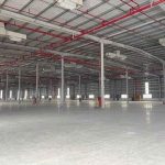  3000m2