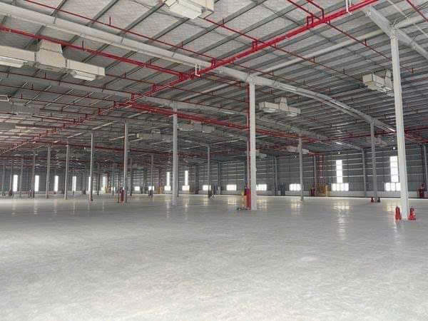  3000m2