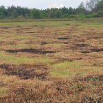  10000m2 - 4