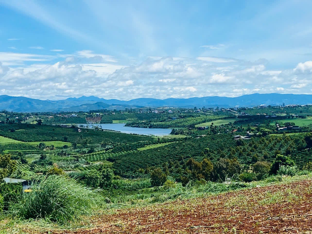 Deal siêu tốt view hồ Phúc Thọ-Lâm Hà DT 1000m2 sẵn 100m2 thổ cư chỉ 850tr