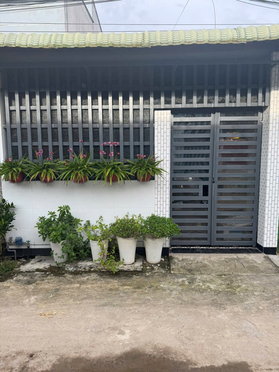 CHÍNH CHỦ CẦN BÁN TẠI Hẻm 71 đường Lò Hột, Hòa Thuận, Châu Thành, Trà Vinh