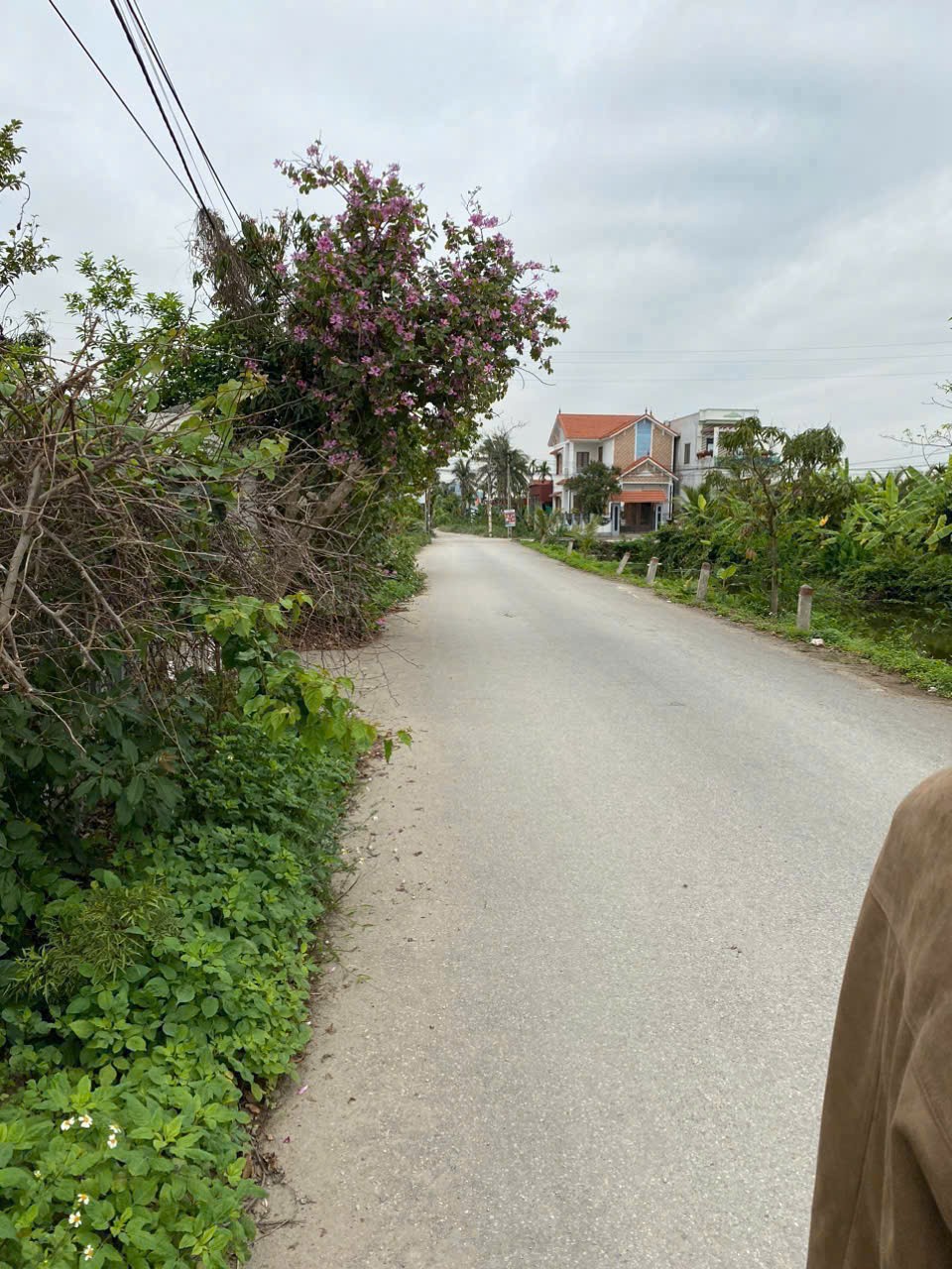 3,x TỶ - Siêu phẩm nhà vườn 583m² lô 2 trục Trung Nghĩa – Minh Đức Đồ Sơn ZALO 0567 222 555