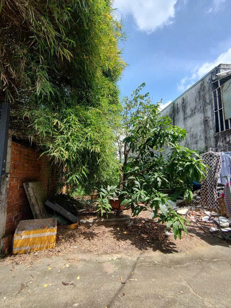 BÁN ĐẤT MẶT TIỀN ĐÔNG THẠNH 3-2 – 111.8m² – CHỈ 3.9 TỶ