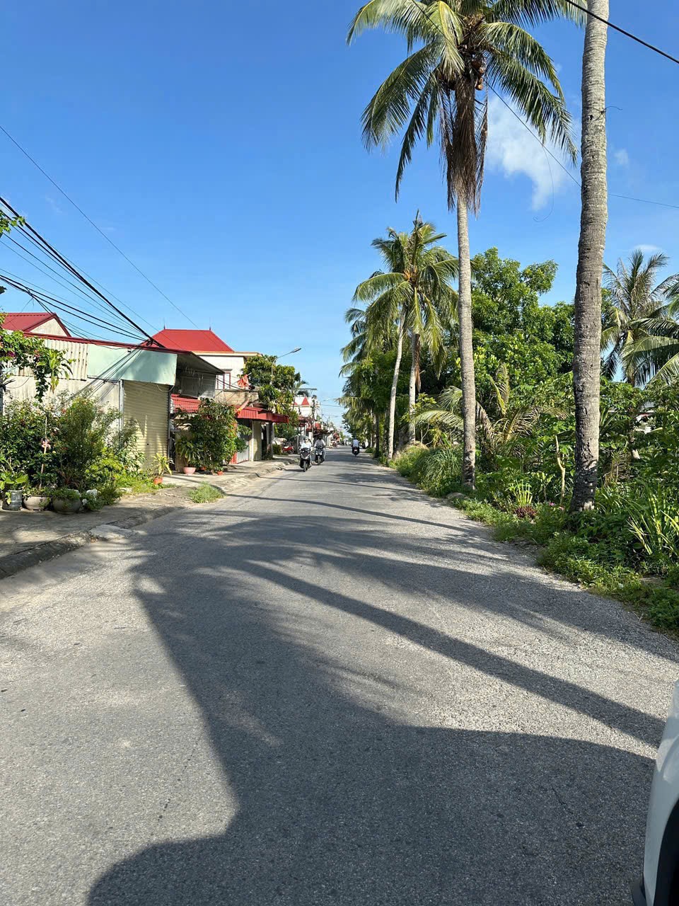 ĐẤT ĐẸP NAM ĐỒ SƠN – GIÁ HIẾM 1,2X TỶ – VIEW THOÁNG, SỔ SẴN – ZALO 0567 222 555