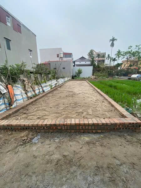 SỞ HỮU NGAY ĐẤT ĐẸP - GIÁ TỐT - Vị Trí Đắc Địa Tại Đình Trung, Thư Lâm, Đông Anh, Hà Nội