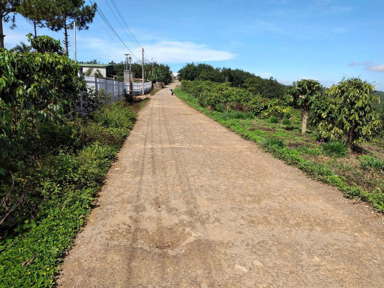 SỞ HỮU NGAY LÔ ĐẤT ĐẸP - GIÁ TỐT - Vị Trí Đắc Địa Tại Tân Lâm 2, Đinh Trang Thượng, Lâm Đồng