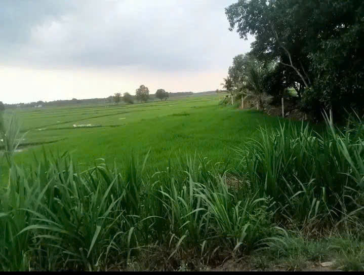 HOT! HOT ! HOT CHÍNH CHỦ BÁN ĐẤT - GIÁ HỢP LÝ