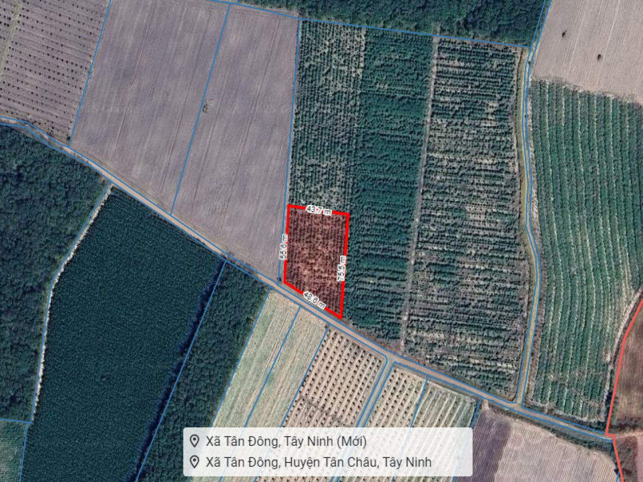 Đất 2.2 sào Mít SHR HXT – DT792 Tây Ninh S