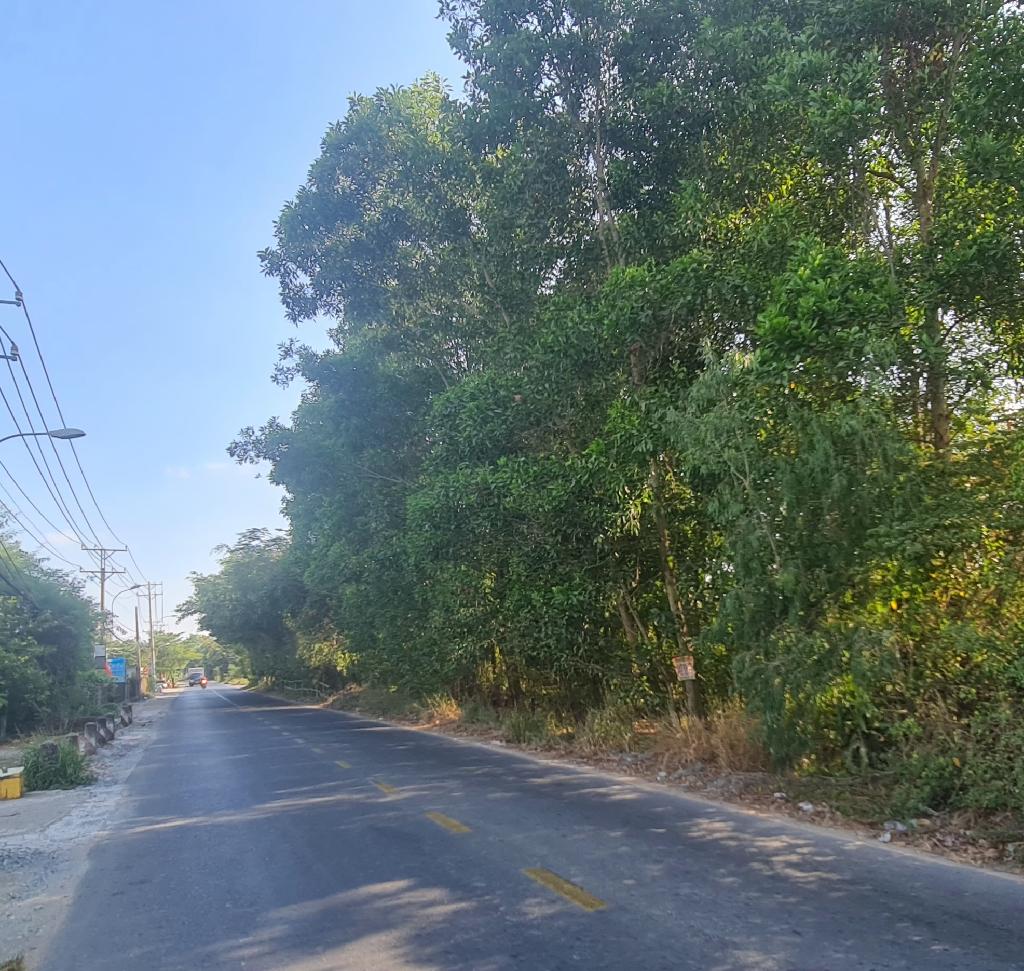 Bán đất thổ cư 3335m2 đường Thanh Niên, Bình Chánh. SHR, giá 43 tỷ. LH: 0908877745