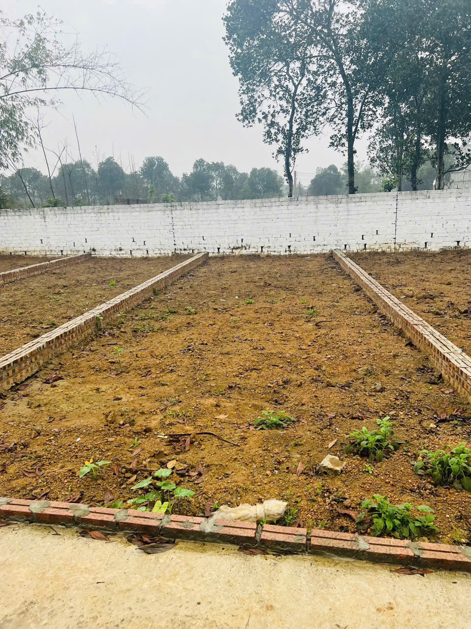 Đất nền Láng Hòa Lạc giá 2.95 tỷ diện tích 100m2 gần bệnh viện Vinmec – Nguyễn Hùng BĐS - 0989333012