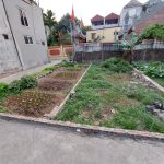  40m2 - 1