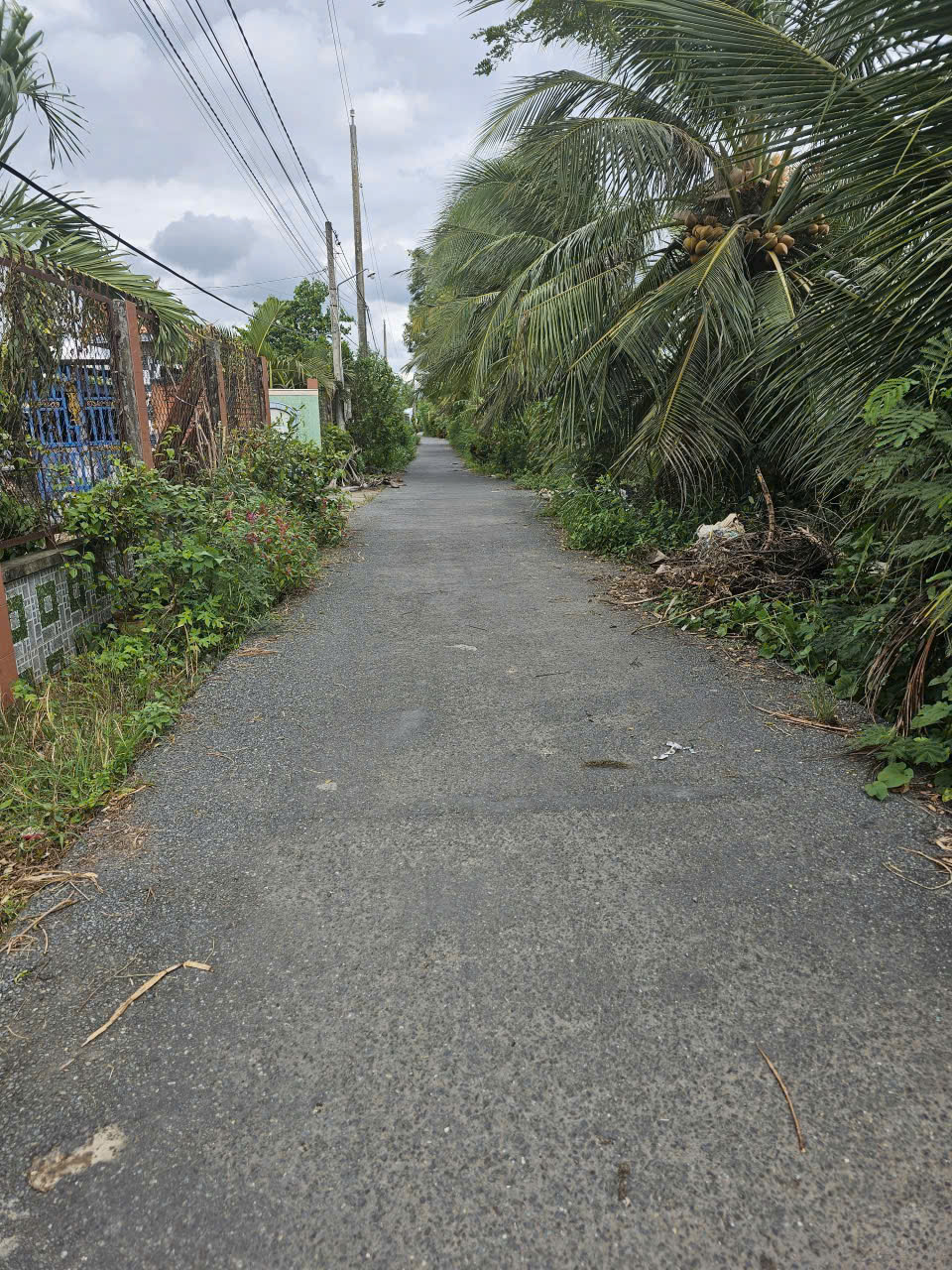 Cơ hội sở hữu đất thổ cư trung tâm An Lục Long – Châu Thành – Tây Ninh (Long An cũ)