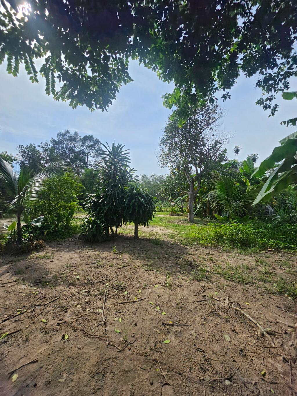 Bán đất thổ cư 1000m2, Mặt Tiền Thạnh Xuân 52, Q.12. Sổ hồng, giá 50 tỷ. LH: 0908877745