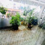  54m2 - 6