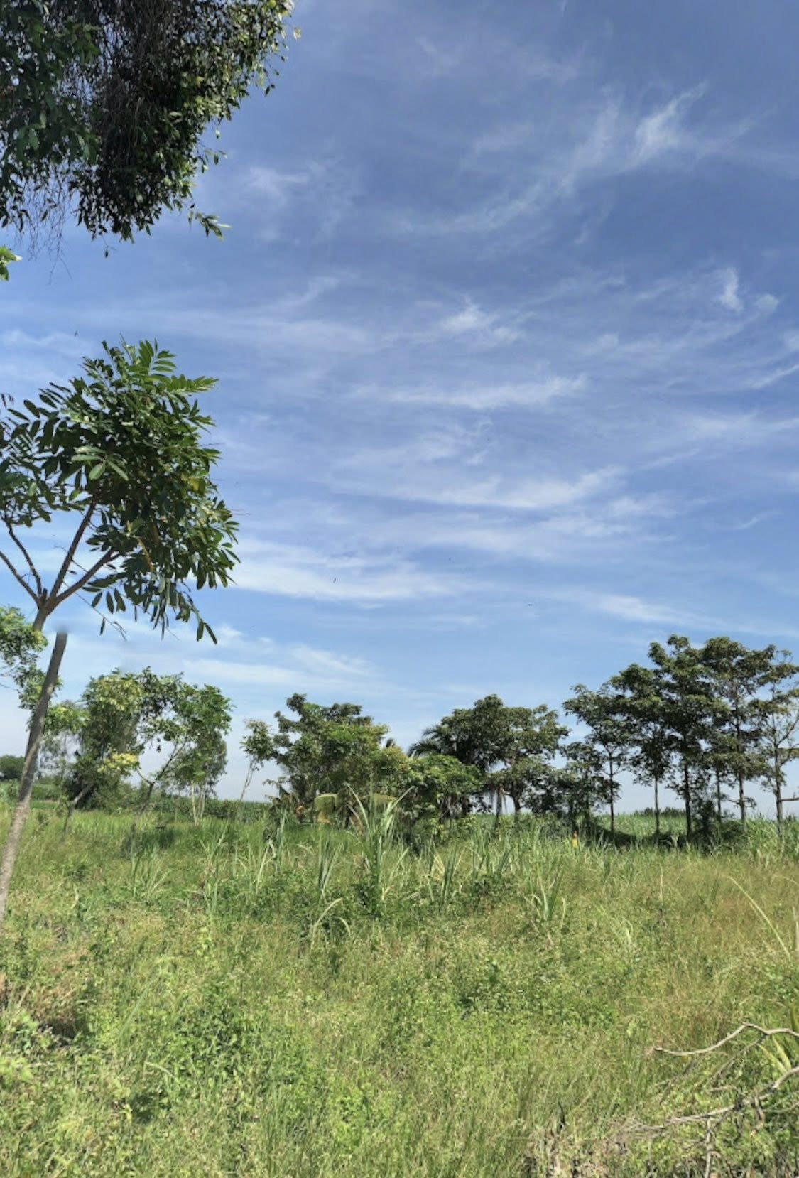 Bán đất công 1100m2 đất, cách Phà Cát lái chỉ 3,5km, phú Huux, Nhơn Trạch,Đồng Nai