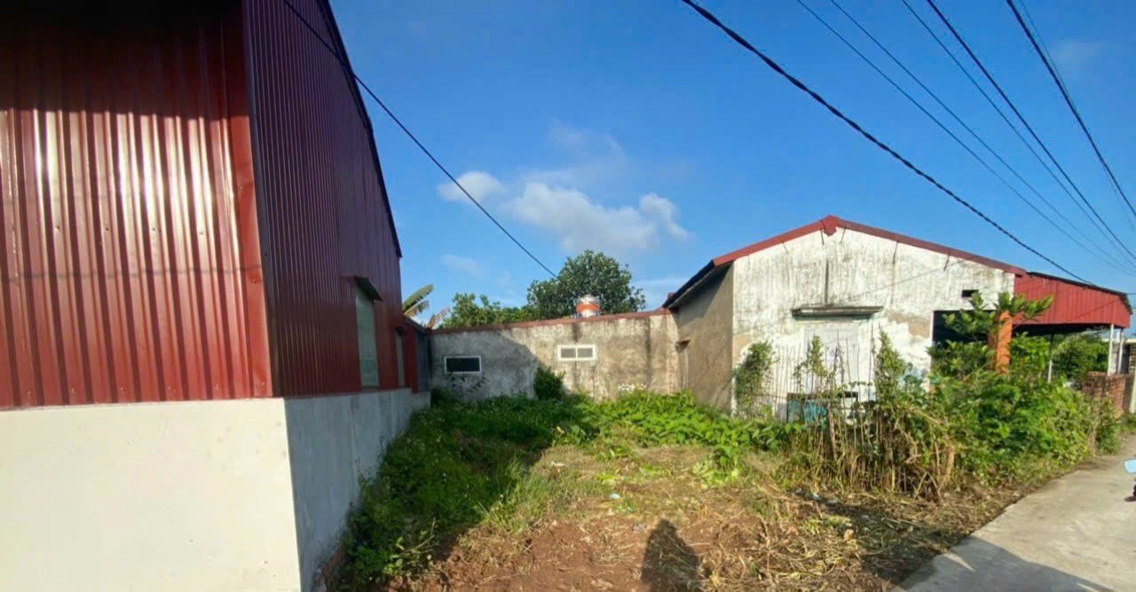 BÁN LÔ ĐẤT 60,5M² NGHĨA PHƯƠNG – ĐỒ SƠN GIÁ CHỈ 7XX TRIỆU SÁT KHU CÔNG NGHIỆP – VEN BIỂN – ZALO 0567 222 555