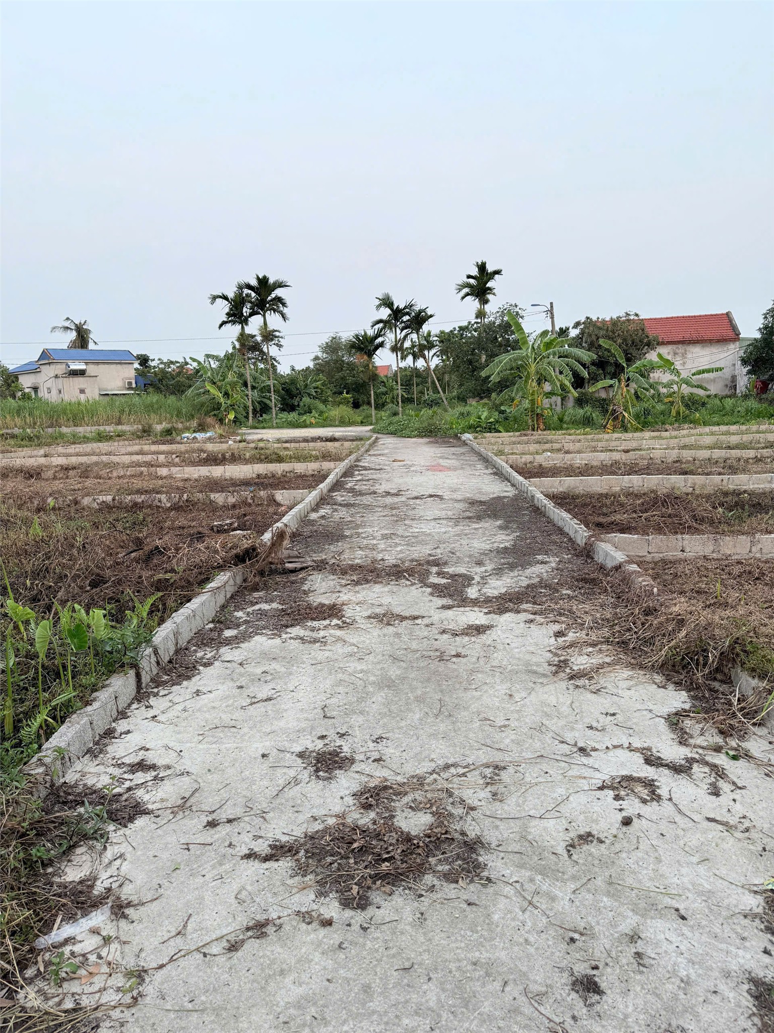 Lô đất 48.6m² giá chỉ 5xx triệu – cơ hội đầu tư tại Hợp Đức, Đồ Sơn ZALO 0567 222 555