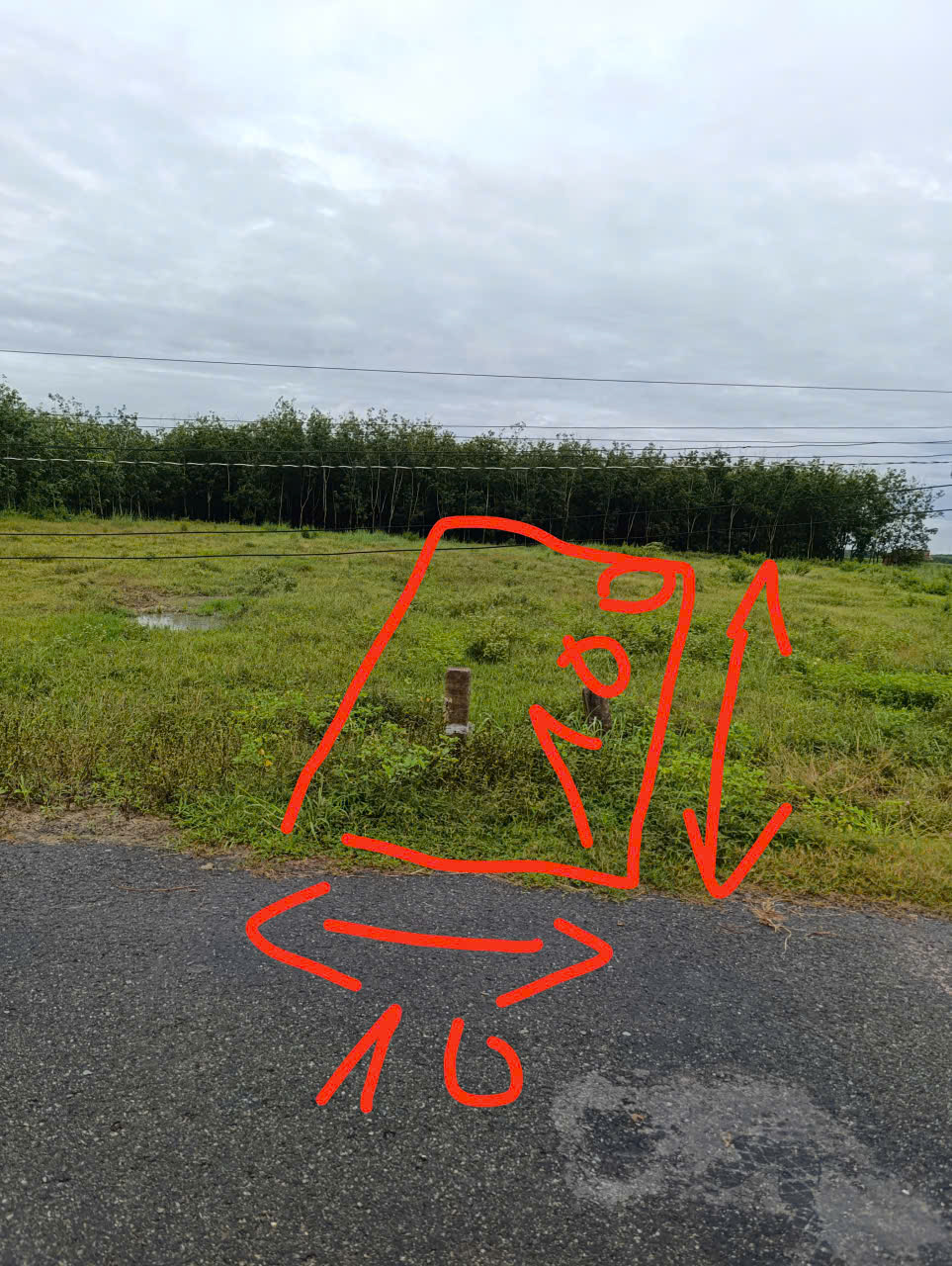 Chính Chủ Bán 1043,1m2 Đất Mặt Tiền Đường Trung Tâm Cụm Xã Nhựa Tại Hoà Hiệp, Tân Biên