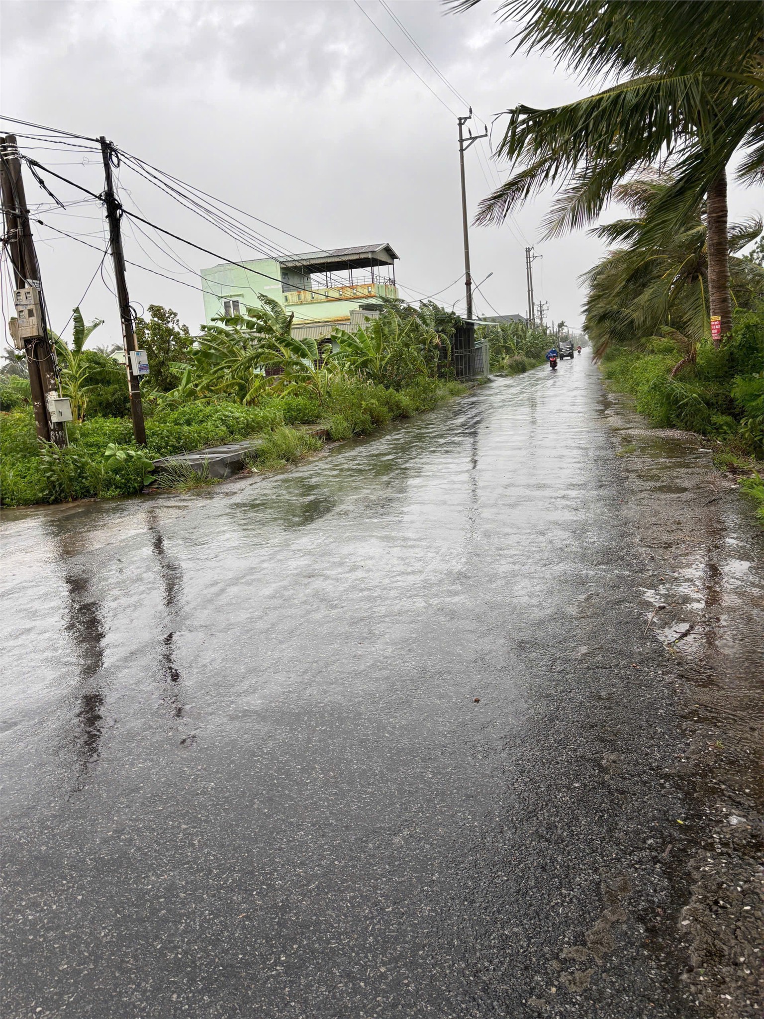 Lô đất 200m² mặt đường Quyết Tiến – Hợp Đức, giá chỉ 13,x triệu/m² – ZALO 0567 222 555