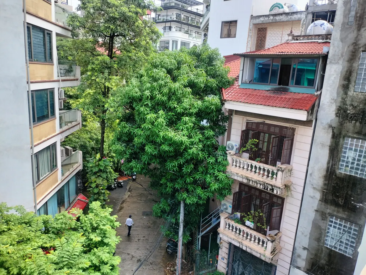 [0371] Độc Quyền! Chính chủ Bán Nhanh Nhà Phố Hoàng Cầu, Phân Lô 2 Mặt Ngõ Vỉa Hè Trung Tâm Đống Đa