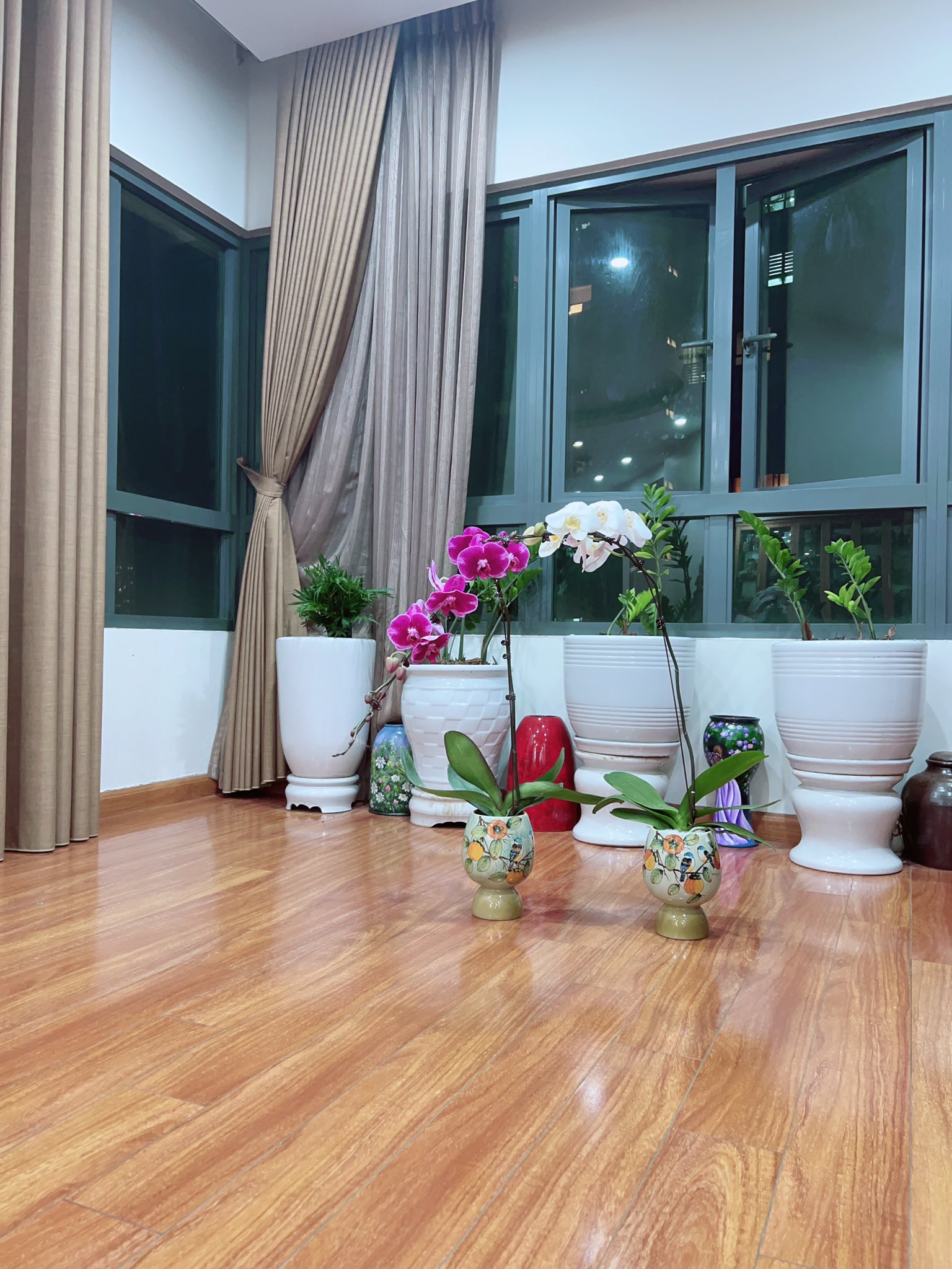 50m2