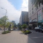 75m2 - 1