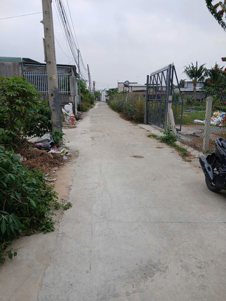 Nhà đẹp Tân Triều – Vào ở ngayhẻm Cây Dầu Giá chỉ 1 tỷ 850 triệu