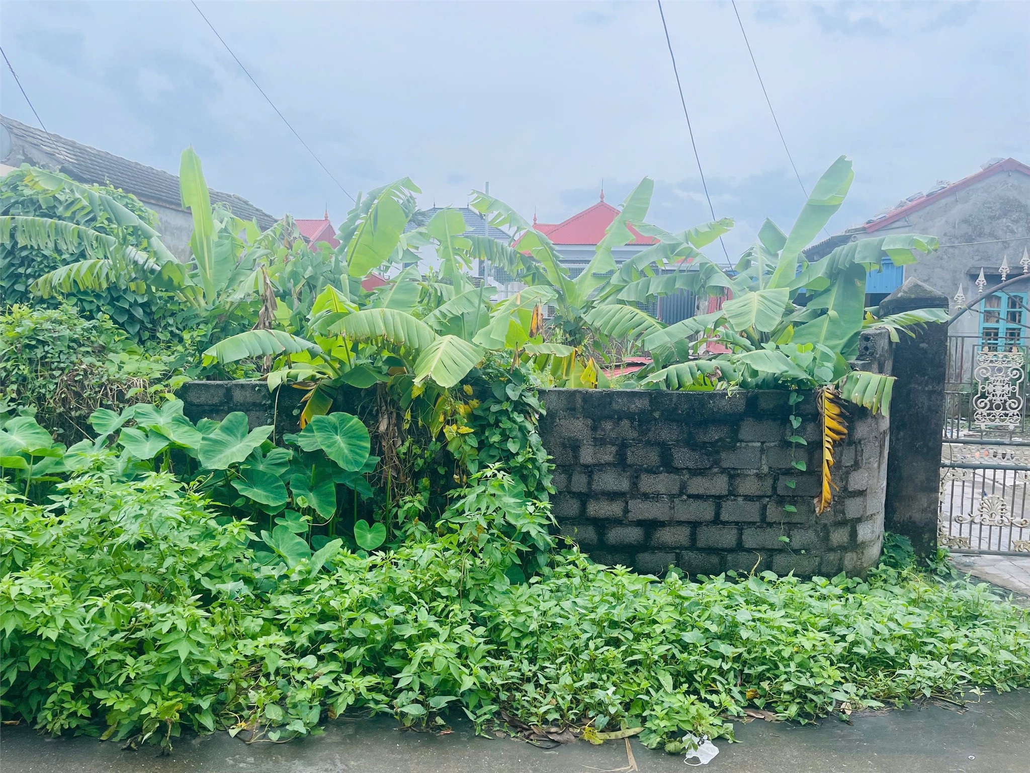 CẠNH VINHOMES KIẾN THỤY – LÔ ĐẸP 89M² ĐƯỜNG 6M, GIÁ CHỈ 1,9X TỶ ZALO 0567 222 555