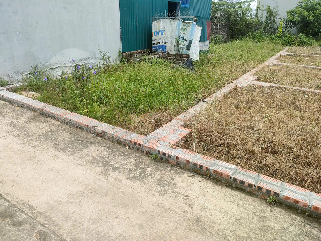 BÁN ĐẤT TỔ 9 (ẤP TRE), XÃ QUANG MINH, HN - NHÕ THÔNG BÀN CỜ, ÔTÔ VÀO ĐẤT, 100% THỔ CƯ, GIÁ ĐẦU TƯ (chỉ 5xtr/m)