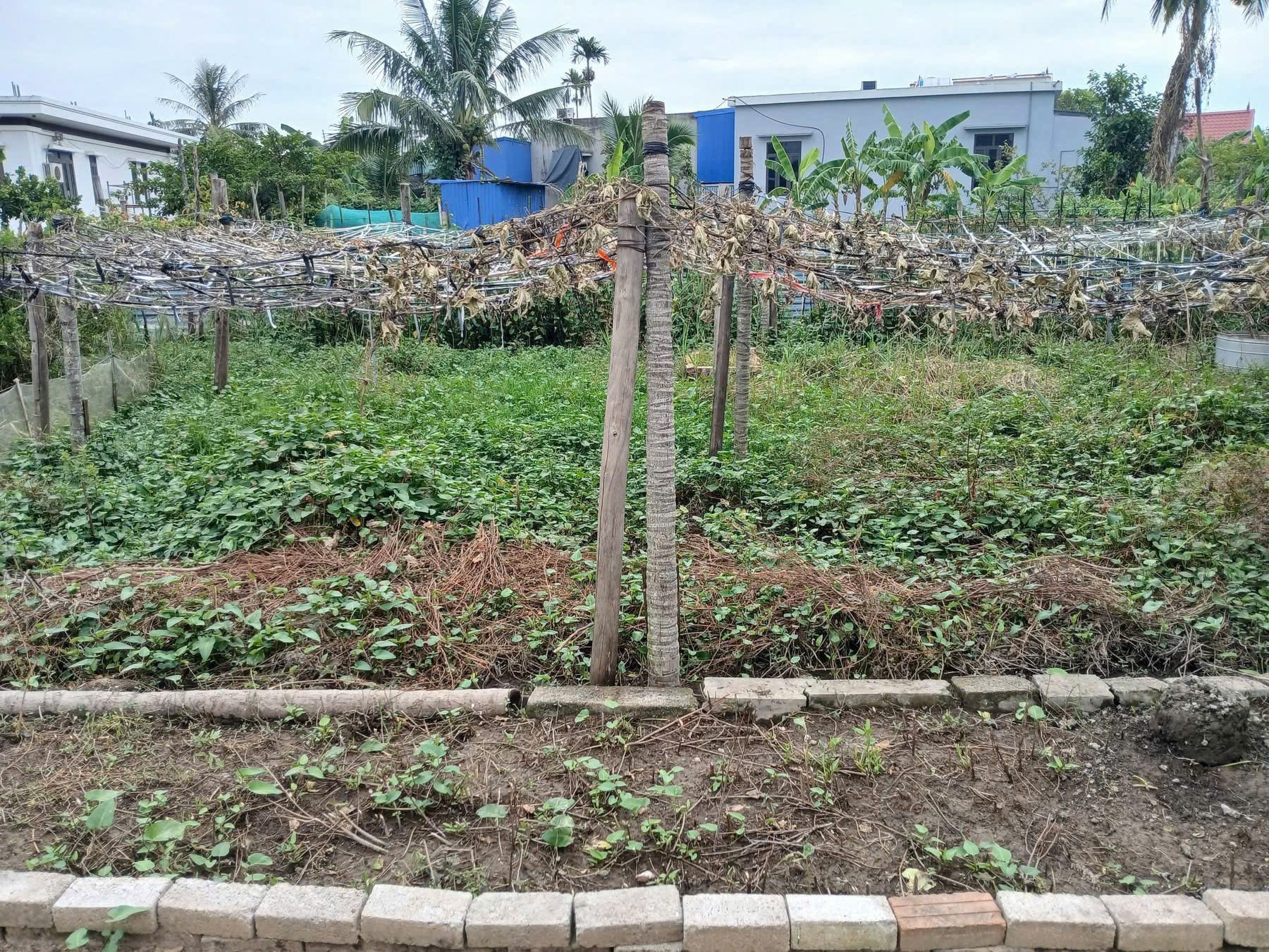 LÔ ĐẸP TRUNG TÂM HỮU BẰNG – GIÁ CHỈ 9XX TRIỆU ZALO 0567 222 555