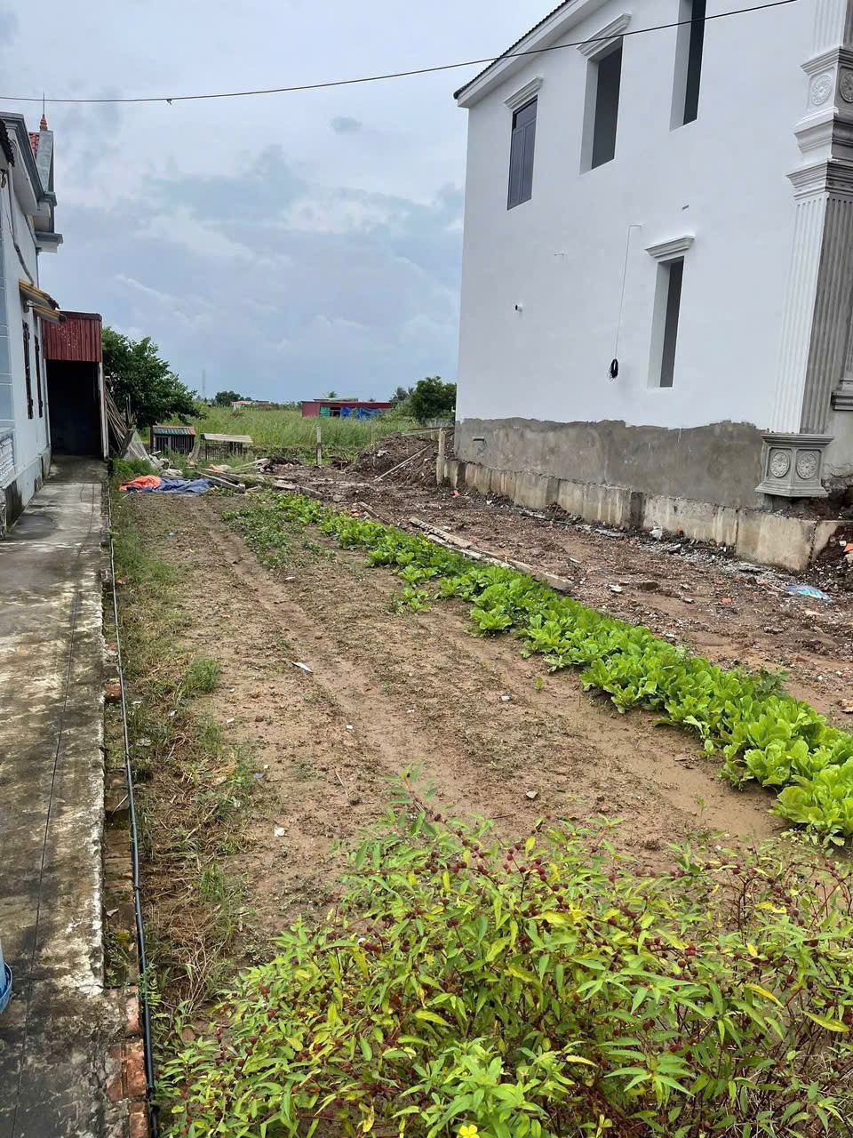 Đất hiếm mặt đường Quyết Tiến – Hợp Đức chỉ hơn 1,7x tỷ ZALO 0567 222 555