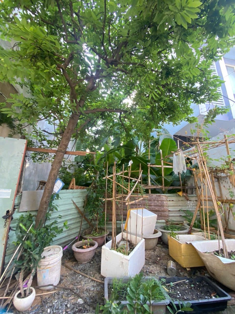 100m2