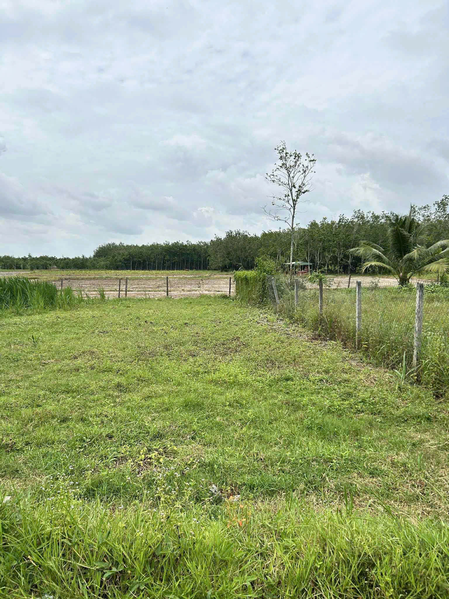 Kẹt Tiền Xây Nhà Chính Chủ Bán Gấp 160m2 Đất Tại Ấp Tua Hai, Huyện Châu Thành, Tỉnh Tây Ninh